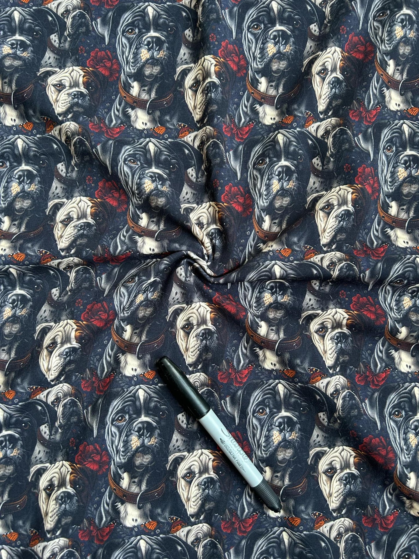 Coton spandex - Adorable Boxer