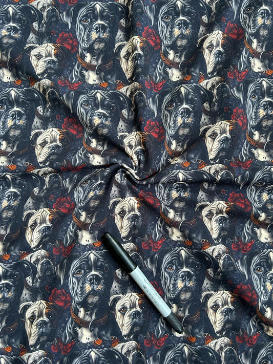 Coton spandex - Adorable Boxer