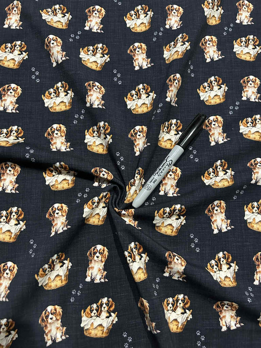 Coton spandex - Les p'tits royaux