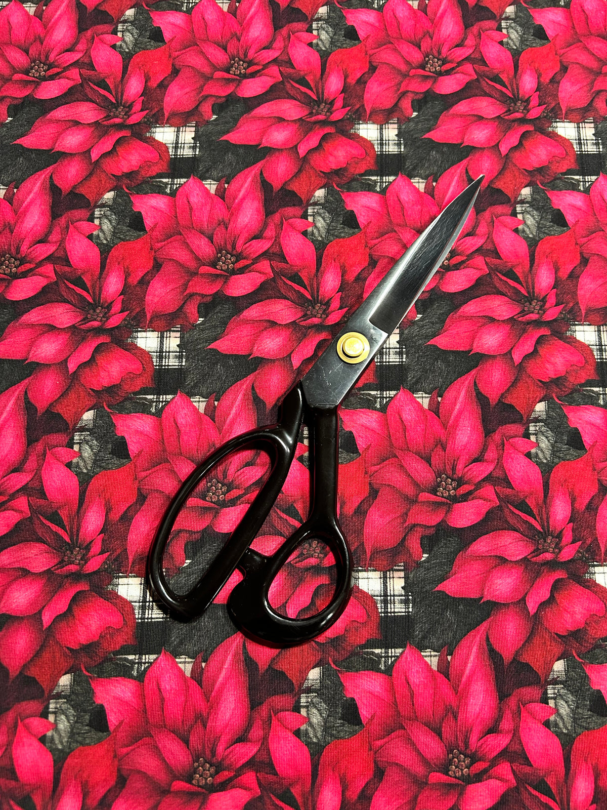 Coton spandex - Poinsettia