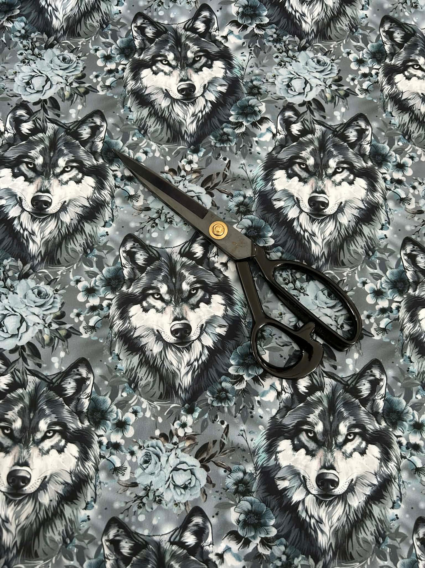 DBP Evolutionary Art