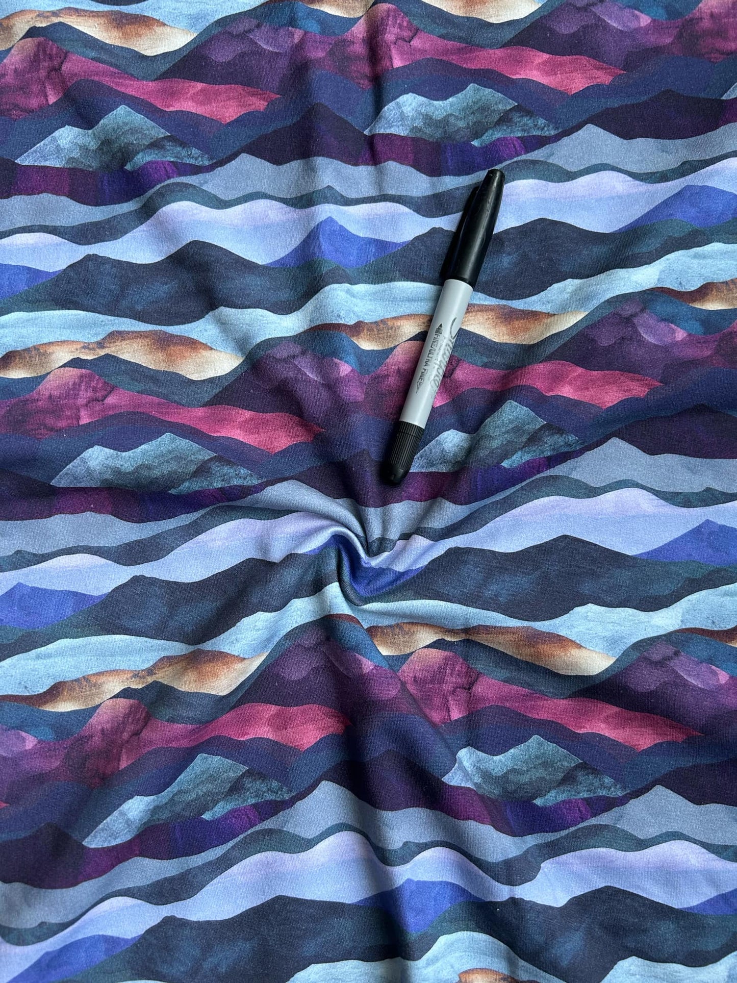 Brushed French Terry Dino biker