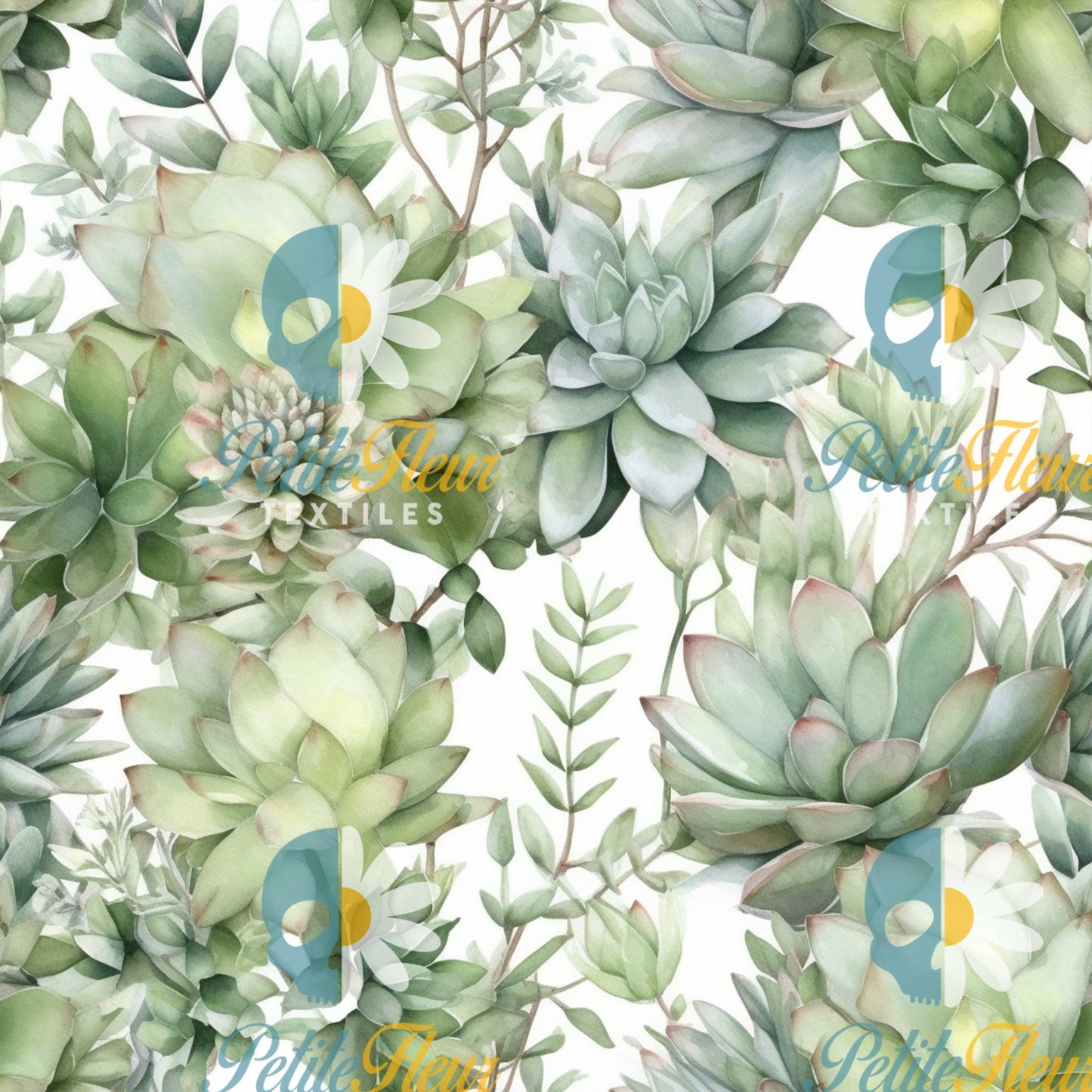 Préco - Succulentes vertes