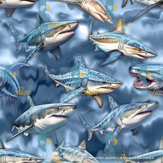 Préco - Alerte aux requins