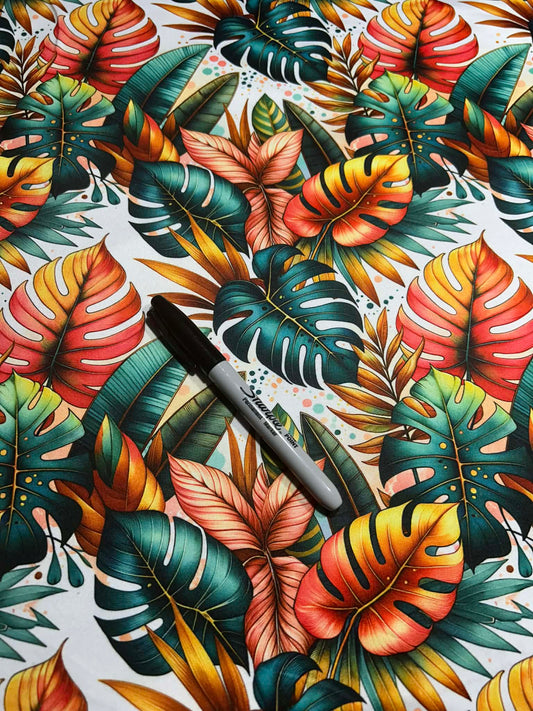 DBP Evolutionary Art