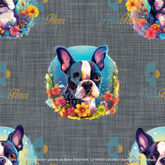 Préco - Boston Terrier aquarelle - fond gris