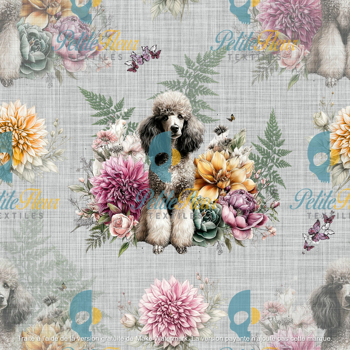 Préco - Caniche royal