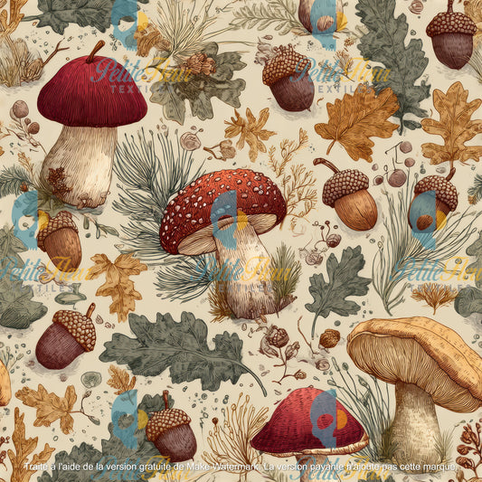 Préco - Champignons enchantés