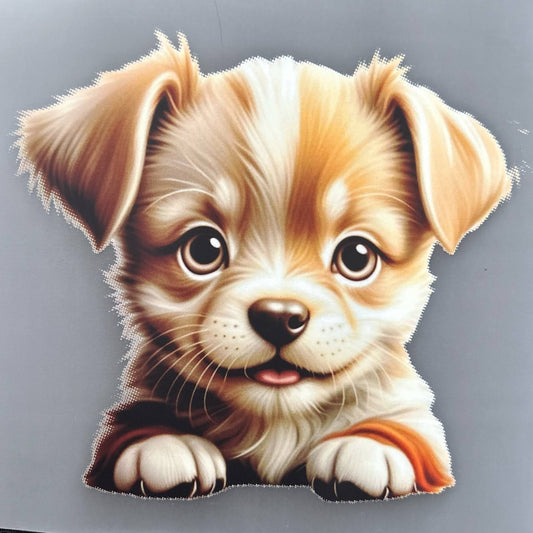 Chien 3