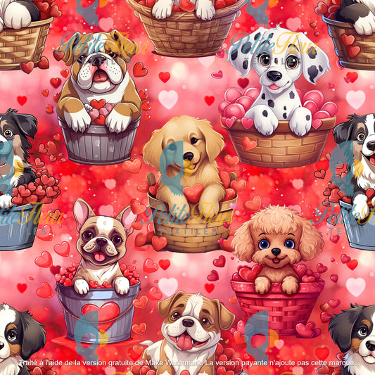 Préco - Compagnons d'amour