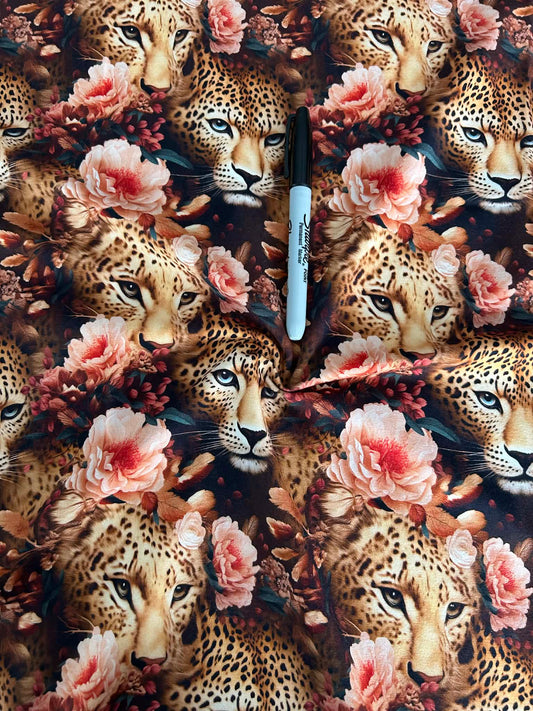 Cotton spandex Adorable owl