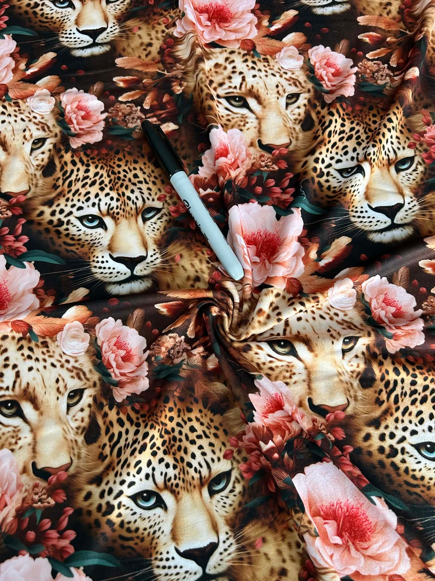 DBP Evolutionary Art