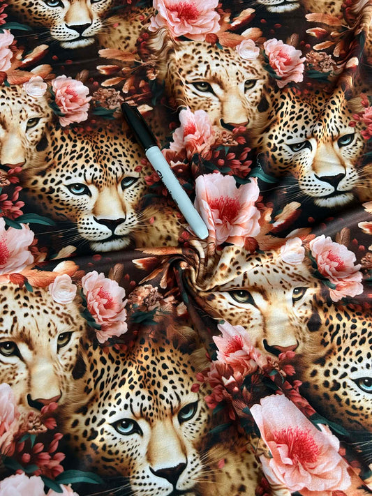 DBP Evolutionary Art