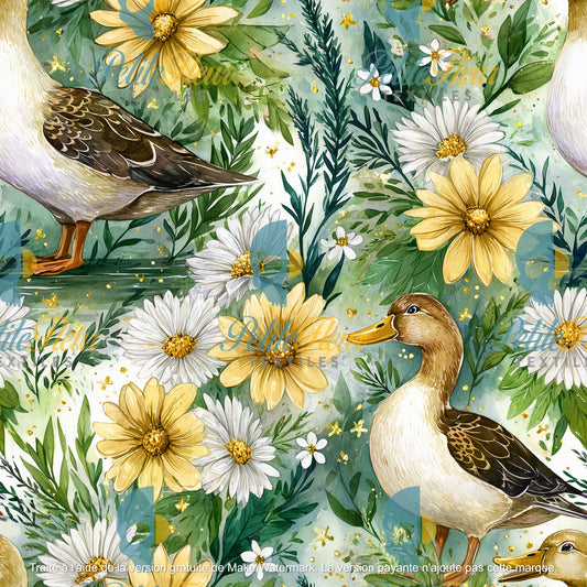 Préco - Floraison de canard