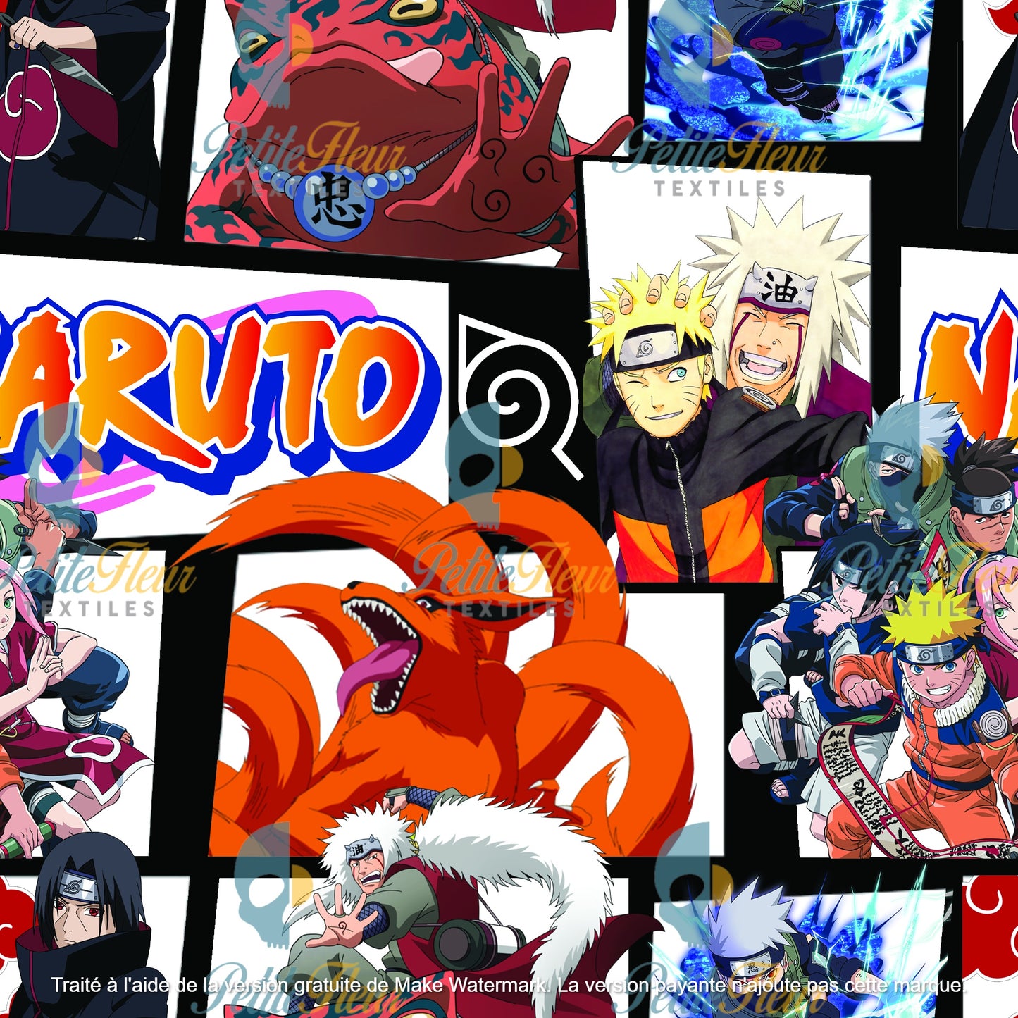 Préco - Héros du village caché