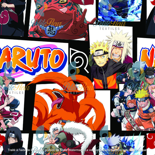 Préco - Héros du village caché