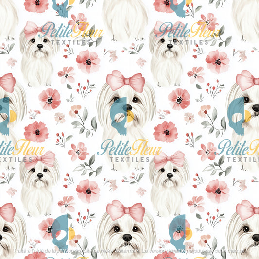 Préco - Joli Maltais