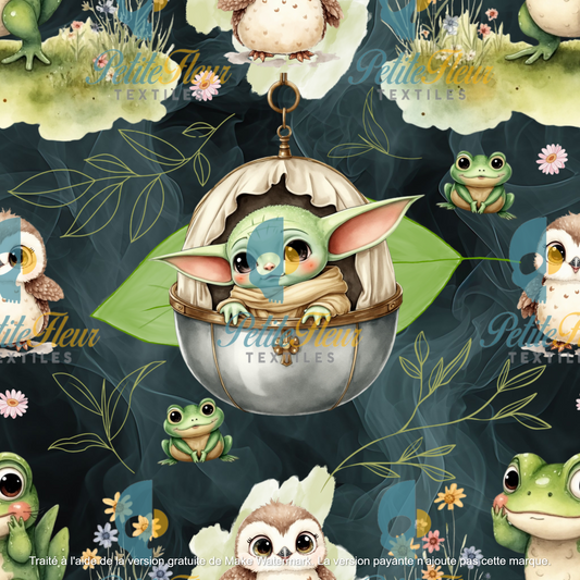 Préco - Le Sage et la Grenouille