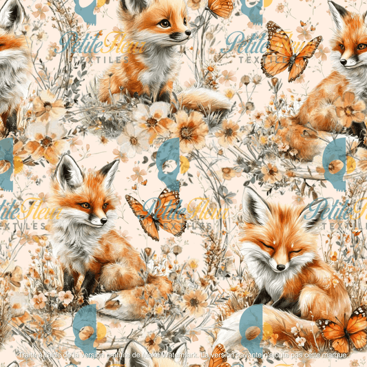 Préco - Le papillon et le renard