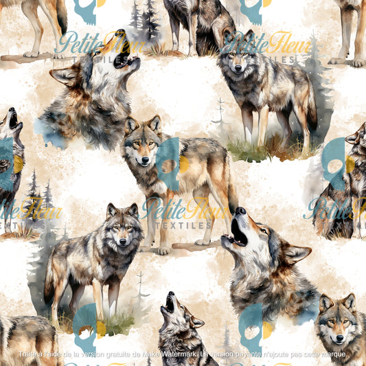 Préco - Loup sauvage