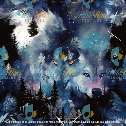 Préco - Mystère Nocturne