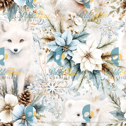 Préco - Naissance hivernale