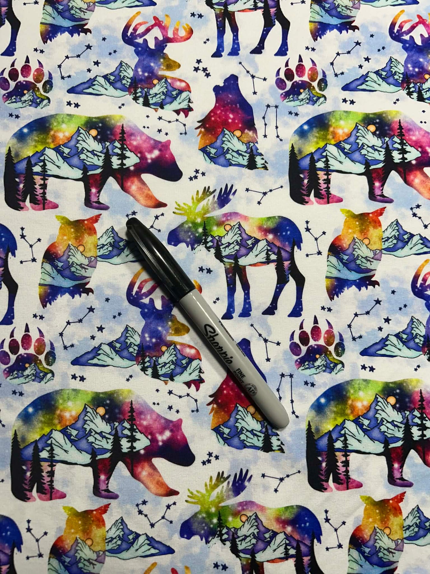 Brushed French Terry Dino biker