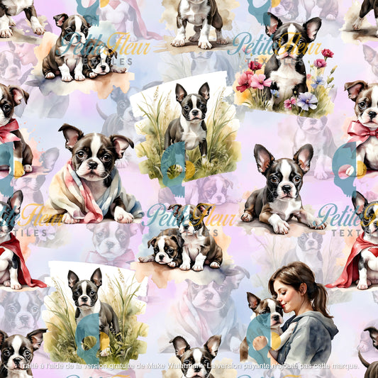 Préco - Pattes de velours