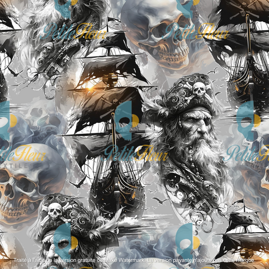 Préco - Pirate des mers