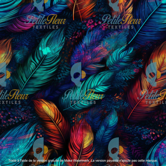 Préco - Plumage coloré