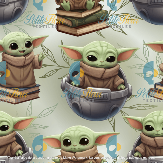 Préco - Sage lecteur