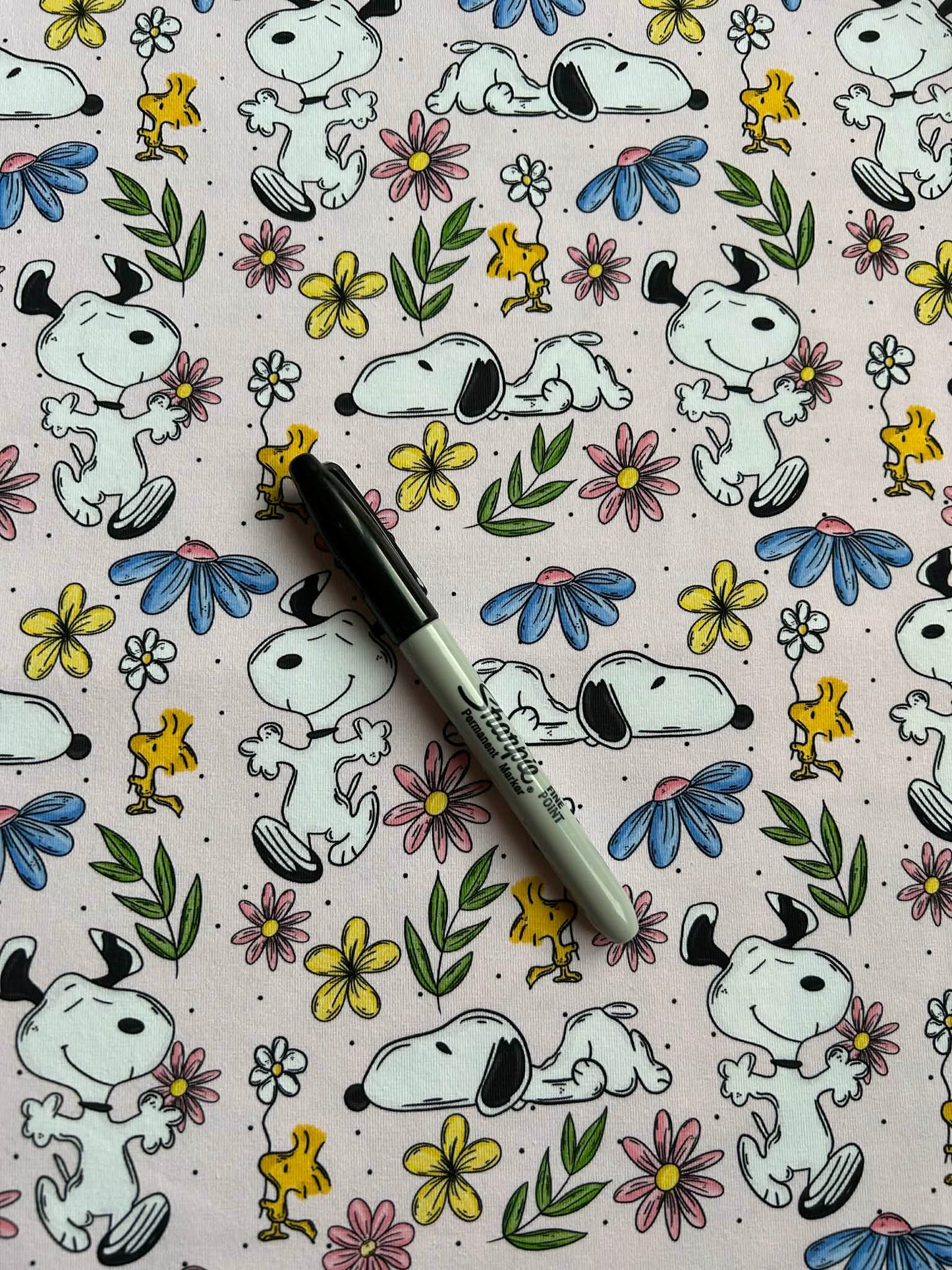 DBP - Snoopy au jardin