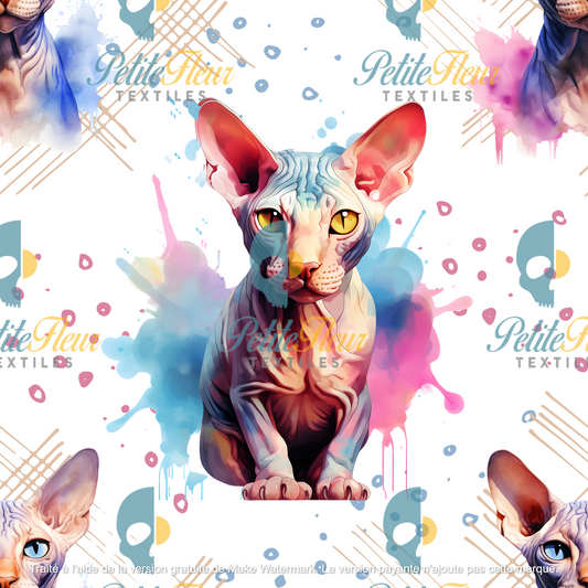 Préco - Sphynx blanc