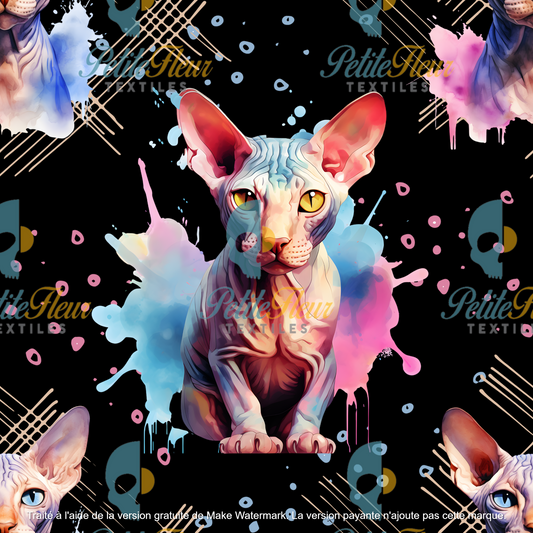 Préco - Sphynx noir