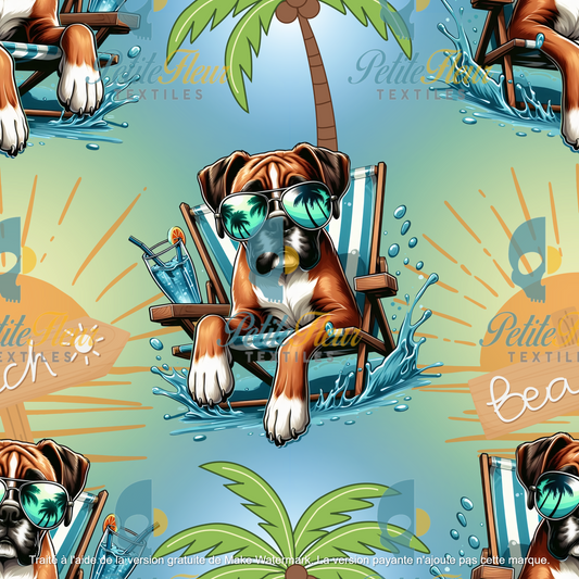 Préco - Summer Vibe