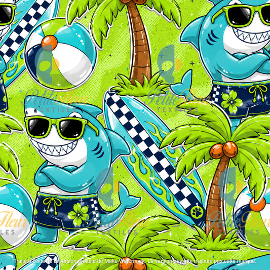 Préco - Surf & Crocs