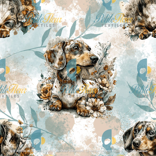 Préco - Teckel pastel