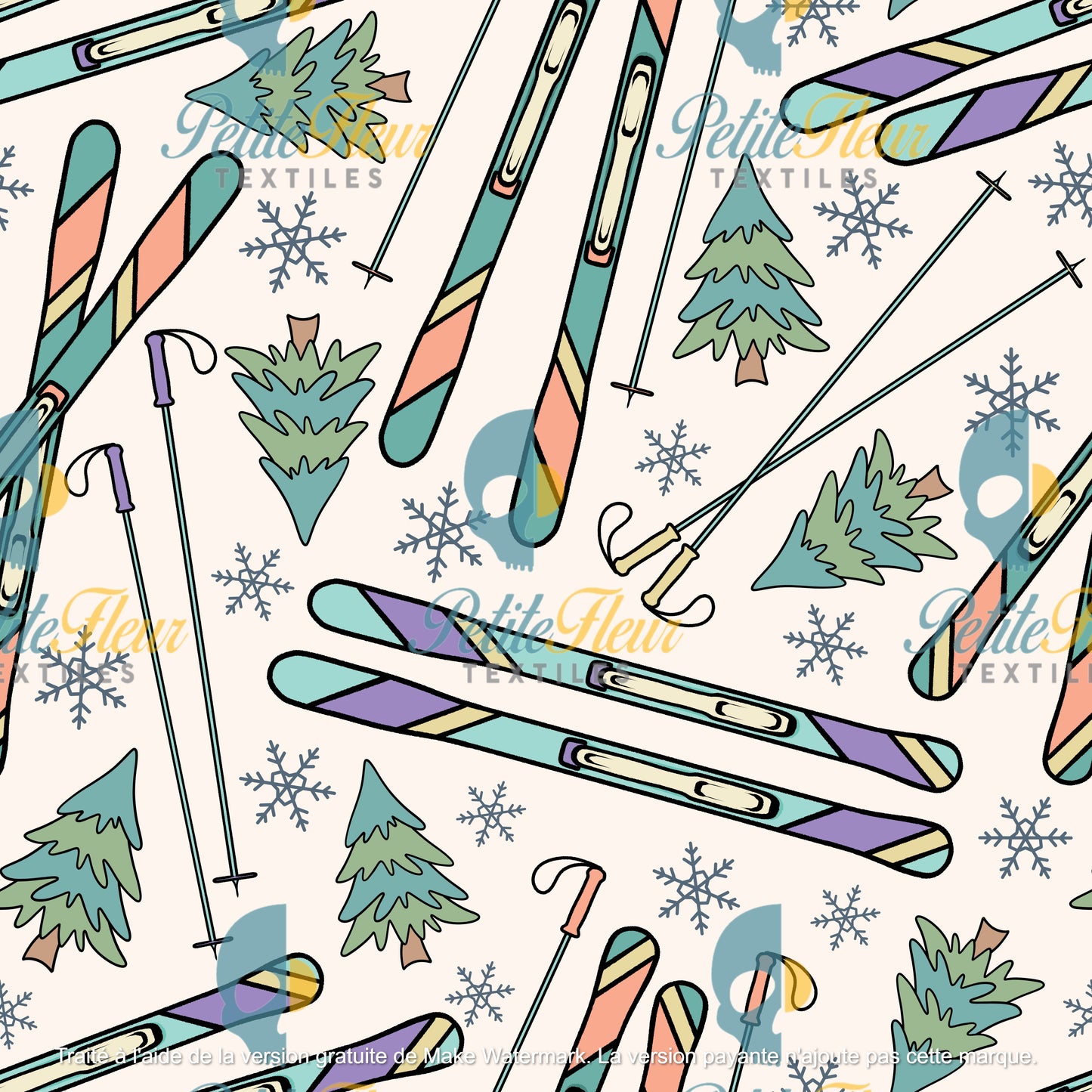 Préco - Une journée en ski