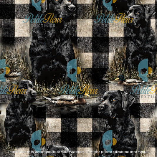 Préco - Veille au marais