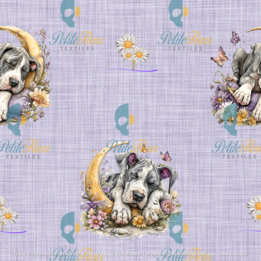 Préco - Danois Dodo